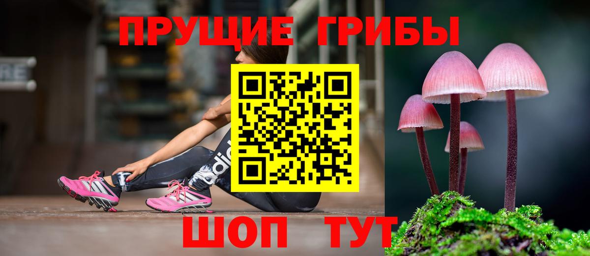 Рассказово  Галлюциногенные грибы ЛСД  Галлюциногенные грибы Psilocybe  Вход с VPN 